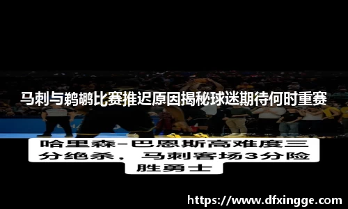 马刺与鹈鹕比赛推迟原因揭秘球迷期待何时重赛